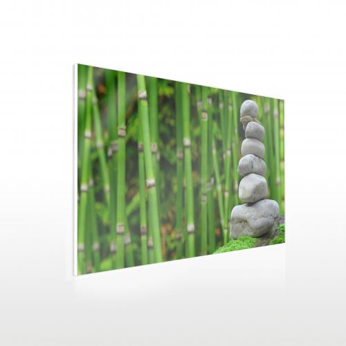 Fotodruck auf Acrylglas - Beispiel Bambus