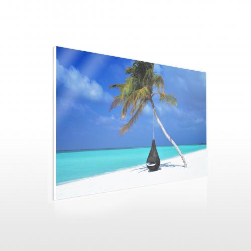 Urlaubsbilder auf Acryl - Beispiel Strand mit Palme 70 x 40 cm