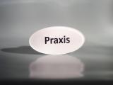 Praxisschild Acrylglas "Praxis" 70 x 140 mm Oval